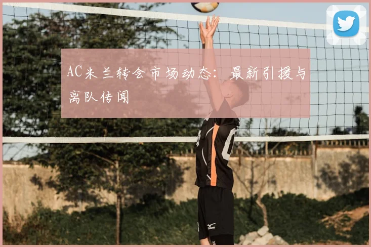 AC米兰转会市场动态:最新引援与离队传闻
