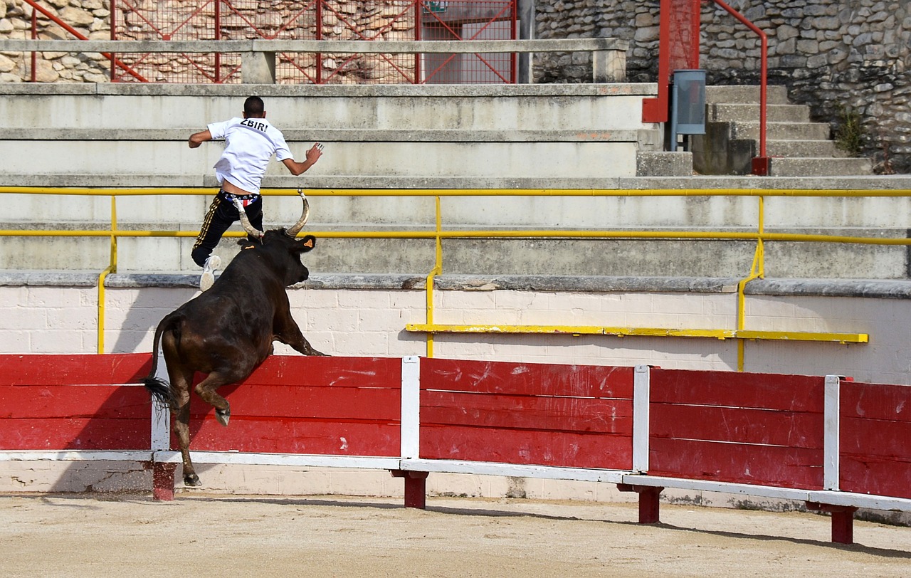 曾遇到过不