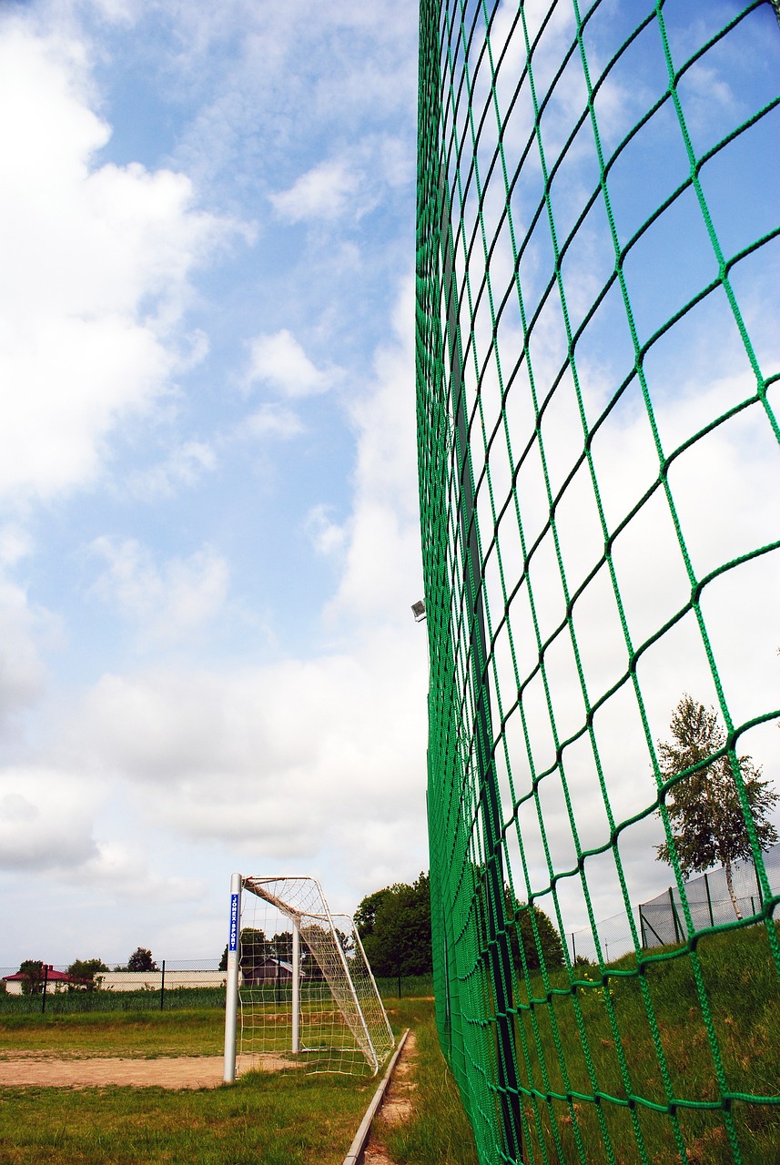 的比赛中 的比赛中