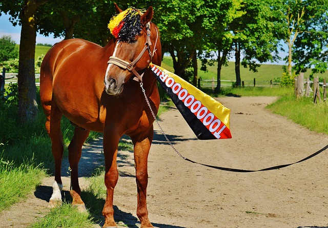 據恩比德的 據恩比德的