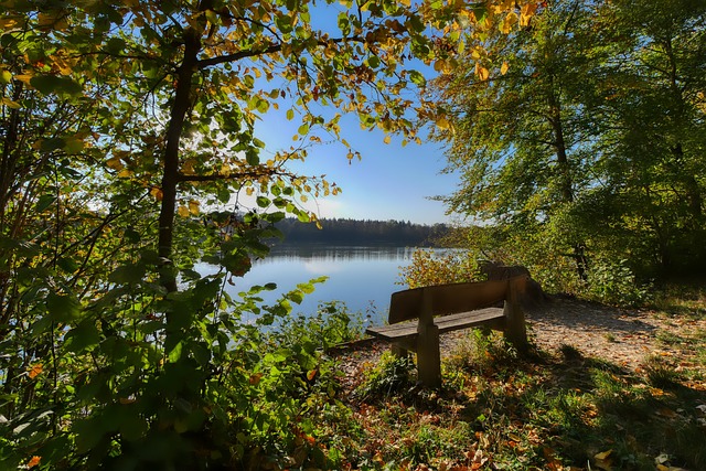 何影响球队 何影响球队