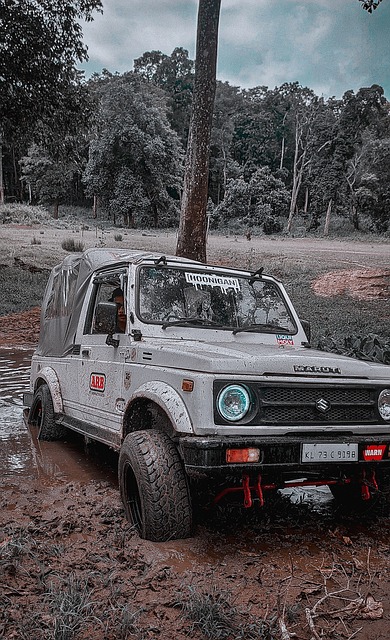 与球队决策 与球队决策