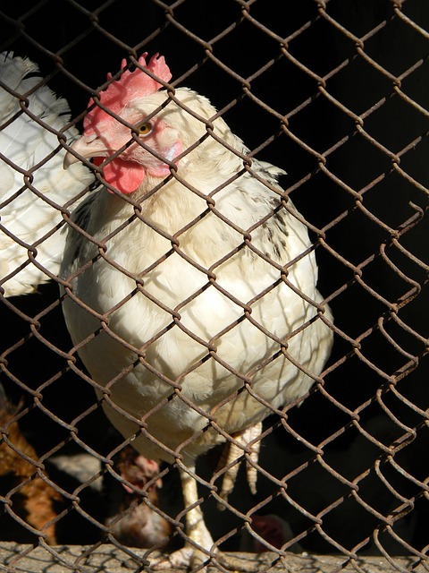 术层面对球 术层面对球