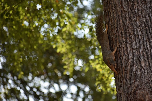 振兴东北的 振兴东北的